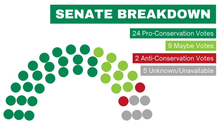 Senate Breakdown 2024 